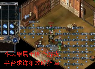 斗魂服属于哪个游戏平台求详细攻略指南 斗魂服属于哪个游戏平台求详细攻略指南