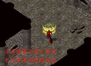 斗魂服属于哪个游戏平台求详细攻略指南 斗魂服属于哪个游戏平台求详细攻略指南