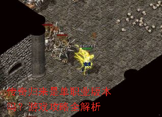 ��������ǵ�ְҵ�汾����Ϸ����ȫ����