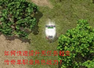 ��ο������������񳬱䴫�浥ְҵ��ɫս����