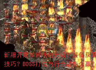 �·�������ο���������װ����ȡ����Щ���ɣ�BOSS�����л�ս��ôӮ��
