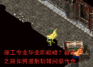 ����רҵ��ҵ���۷壿��ҵ֮·�������ն���ʶ�����
