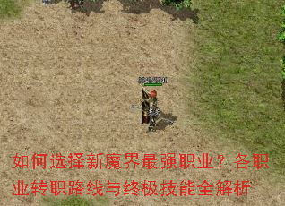 如何选择新魔界最强职业?各职业转职路线与终极技能全解析 如何选择新魔界最强职业?各职业转职路线与终极技能全解析