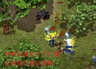 传奇私服玩不了?常见问题与解决攻略 传奇私服玩不了?常见问题与解决攻略