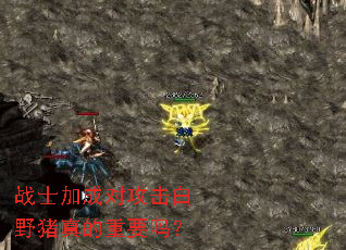 战士加成对攻击白野猪真的重要吗? 战士加成对攻击白野猪真的重要吗?