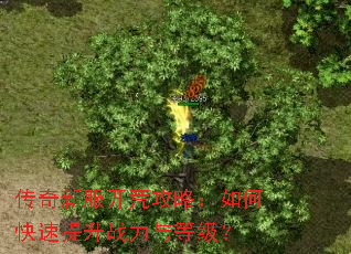 传奇新服开荒攻略:如何快速提升战力与等级? 传奇新服开荒攻略:如何快速提升战力与等级?