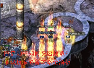 四倍勋章如何快速获取?顶级玩家必备攻略全解析 四倍勋章如何快速获取?顶级玩家必备攻略全解析