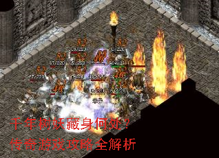 千年树妖藏身何处?传奇游戏攻略全解析 千年树妖藏身何处?传奇游戏攻略全解析