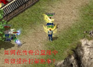 如何在传奇公益服中高效提升打架胜率? 如何在传奇公益服中高效提升打架胜率?