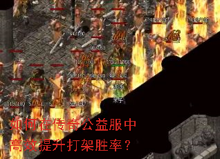 如何在传奇公益服中高效提升打架胜率? 如何在传奇公益服中高效提升打架胜率?