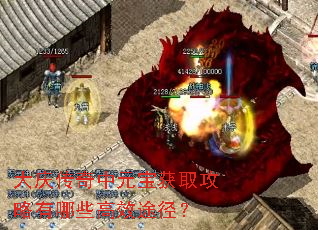 大庆传奇中元宝获取攻略有哪些高效途径? 大庆传奇中元宝获取攻略有哪些高效途径?