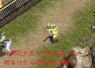 如何区分复古传奇版本?各版本特色与攻略要点解析 如何区分复古传奇版本?各版本特色与攻略要点解析