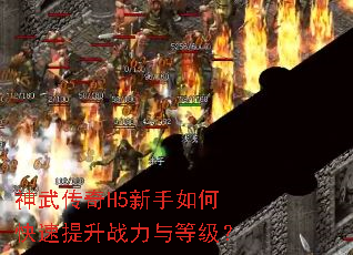 神武传奇H5新手如何快速提升战力与等级? 神武传奇H5新手如何快速提升战力与等级?