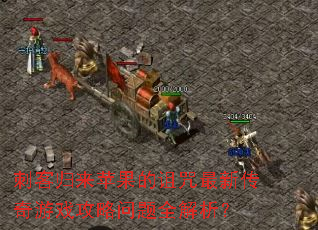 �̿͹���ƻ�����������´�����Ϸ��������ȫ������
